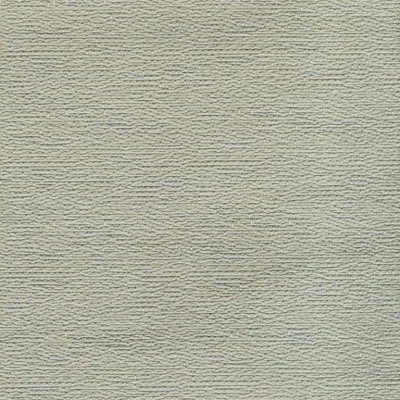 Ткань Rubelli fabric 08003-007 