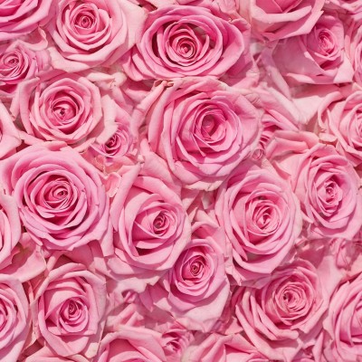 Ткань Rubelli fabric 871008 