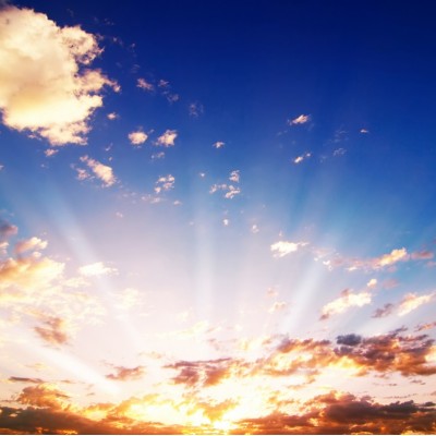 Ткань Rubelli fabric 871028 