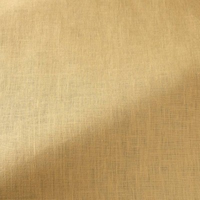 Ткань Pierre Frey fabric F3444018 