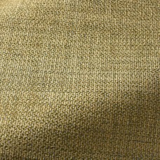 Ткань Pierre Frey fabric F3441019 