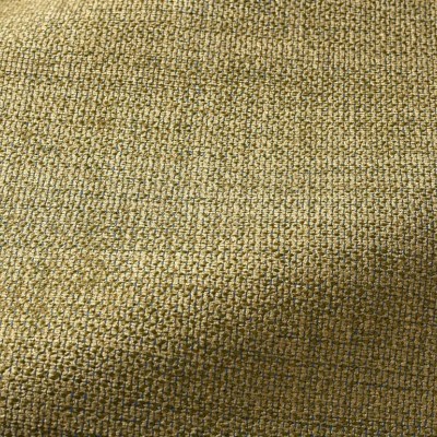 Ткань Pierre Frey fabric F3441019 