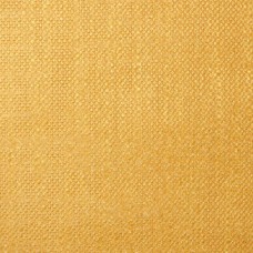 Ткань Pierre Frey fabric F2880025 