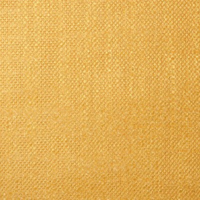 Ткань Pierre Frey fabric F2880025 