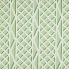 Ткань Pierre Frey fabric F3546003 