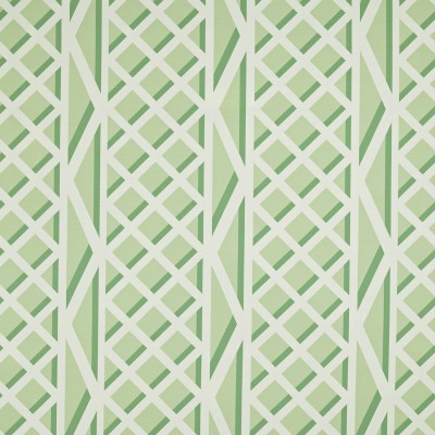 Ткань Pierre Frey fabric F3546003 