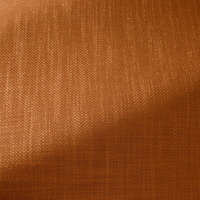 Ткань Pierre Frey fabric F3474019 