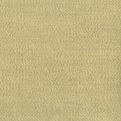 Ткань Rubelli fabric 30102-004 