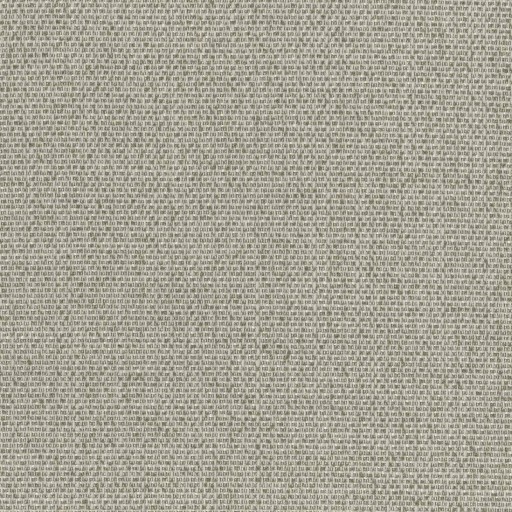 Ткань Rubelli fabric, коллекция KARL, артикул  30265-007