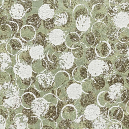 Ткань Rubelli fabric, коллекция GIOTTO, артикул  30164-004