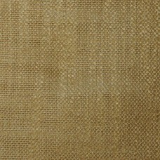Ткань Pierre Frey fabric F2880007 