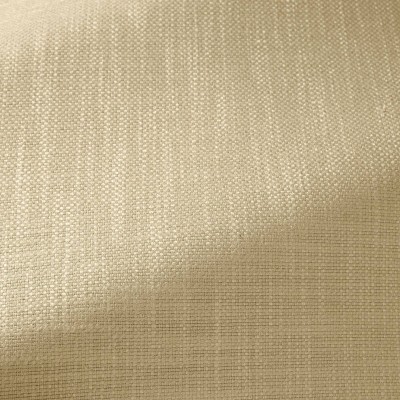Ткань Pierre Frey fabric F3474006 