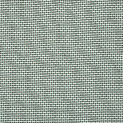 Ткань Pierre Frey fabric F3543010 