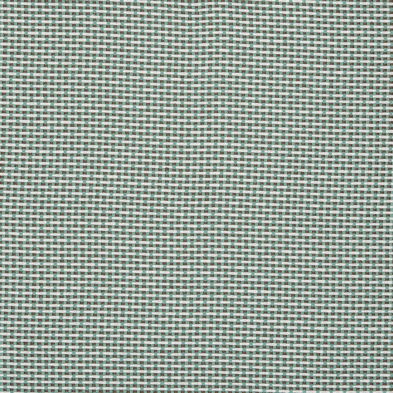 Ткань Pierre Frey fabric F3543010 