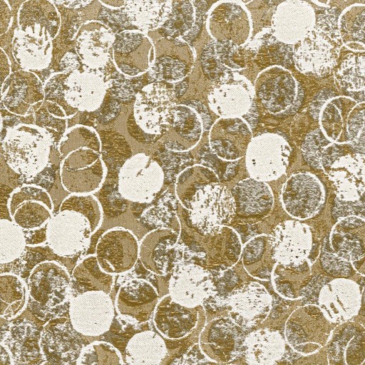 Ткань Rubelli fabric, коллекция GIOTTO, артикул 30164-002 Ткань Rubelli fabric, коллекция GIOTTO, артикул 30164-002