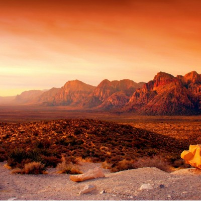 Ткань Rubelli fabric 871042 