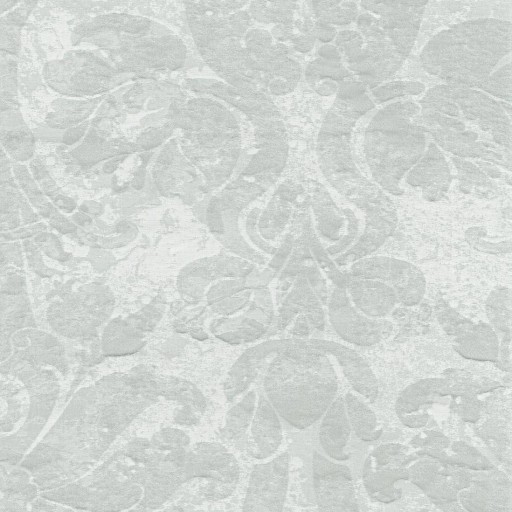 Ткань Rubelli fabric, коллекция MARGOT, артикул 30314-003 Ткань Rubelli fabric, коллекция MARGOT, артикул 30314-003