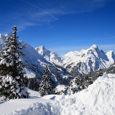 Ткань Rubelli fabric 871015 