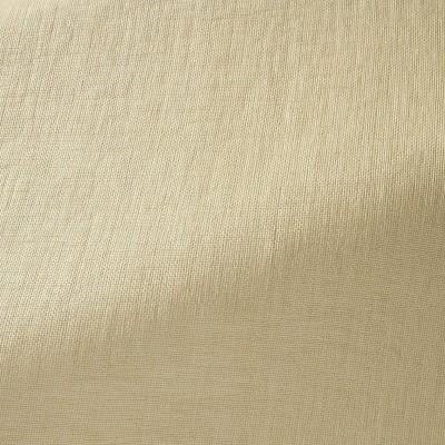 Ткань Pierre Frey fabric F3533002 