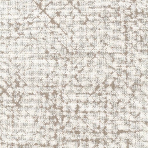 Ткань Rubelli fabric, коллекция DIECIELODE, артикул 30316-001 Ткань Rubelli fabric, коллекция DIECIELODE, артикул 30316-001