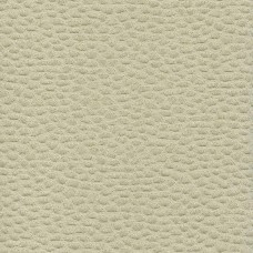 Ткань Rubelli fabric 30070-001 