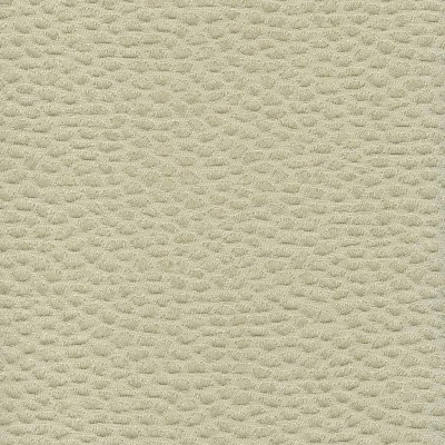 Ткань Rubelli fabric 30070-001 