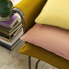 Ткань Pierre Frey fabric F3522038 