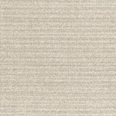 Ткань Rubelli fabric 30266-102 
