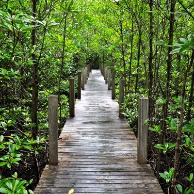 Ткань Rubelli fabric 871055 