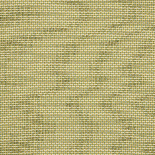 Ткань Pierre Frey fabric, коллекция Arles, артикул  F3543017