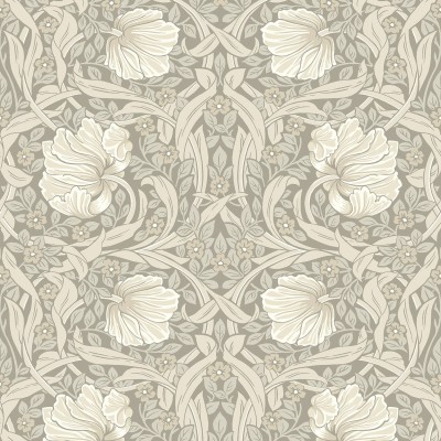 Ткань Architector fabric Pimpernel Beige 