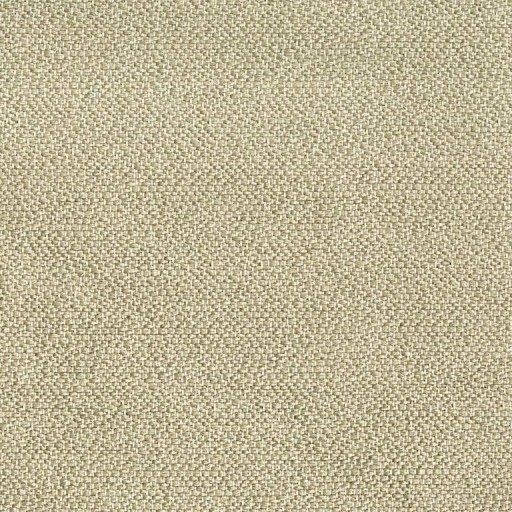Ткань Rubelli fabric, коллекция BENETO, артикул  08003-003