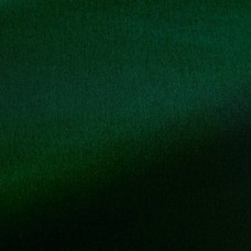 Ткань Pierre Frey fabric O7955018 