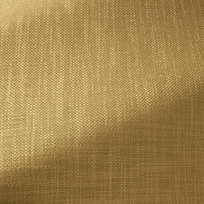 Ткань Pierre Frey fabric F3474025 
