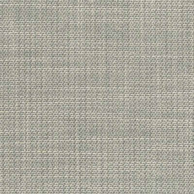Ткань Rubelli fabric 30265-004 