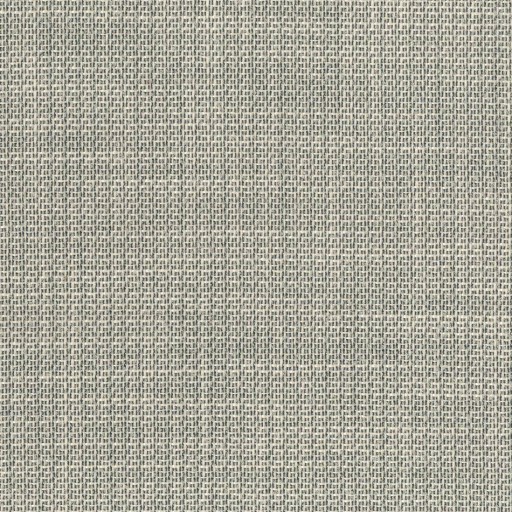 Ткань Rubelli fabric, коллекция KARL, артикул  30265-004