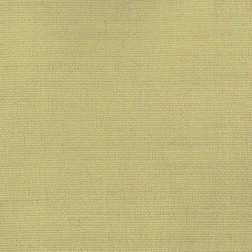 Ткань Rubelli fabric, коллекция CARLO, артикул 30086-014 Ткань Rubelli fabric, коллекция CARLO, артикул 30086-014