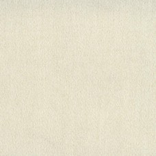 Ткань Rubelli fabric 30102-001 