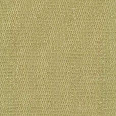 Ткань Rubelli fabric 30076-003 