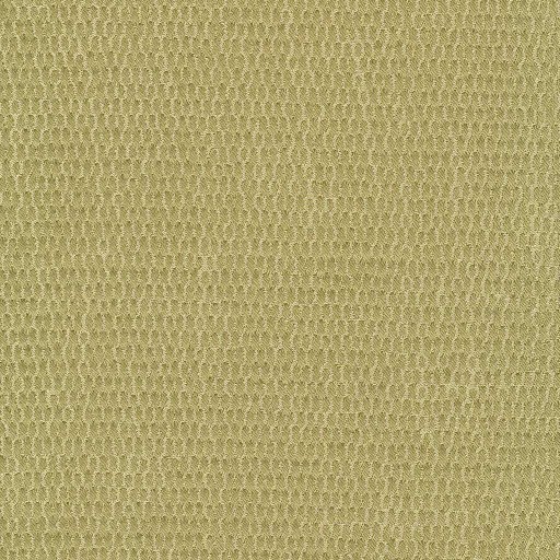 Ткань Rubelli fabric, коллекция FILIGRANA, артикул 30076-003 Ткань Rubelli fabric, коллекция FILIGRANA, артикул 30076-003