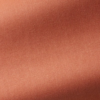 Ткань Pierre Frey fabric F3264002 