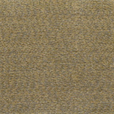 Ткань Rubelli fabric 30173-005 