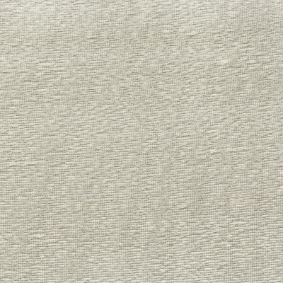 Ткань Rubelli fabric 30173-003 