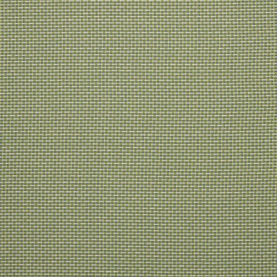 Ткань Pierre Frey fabric F3543016 
