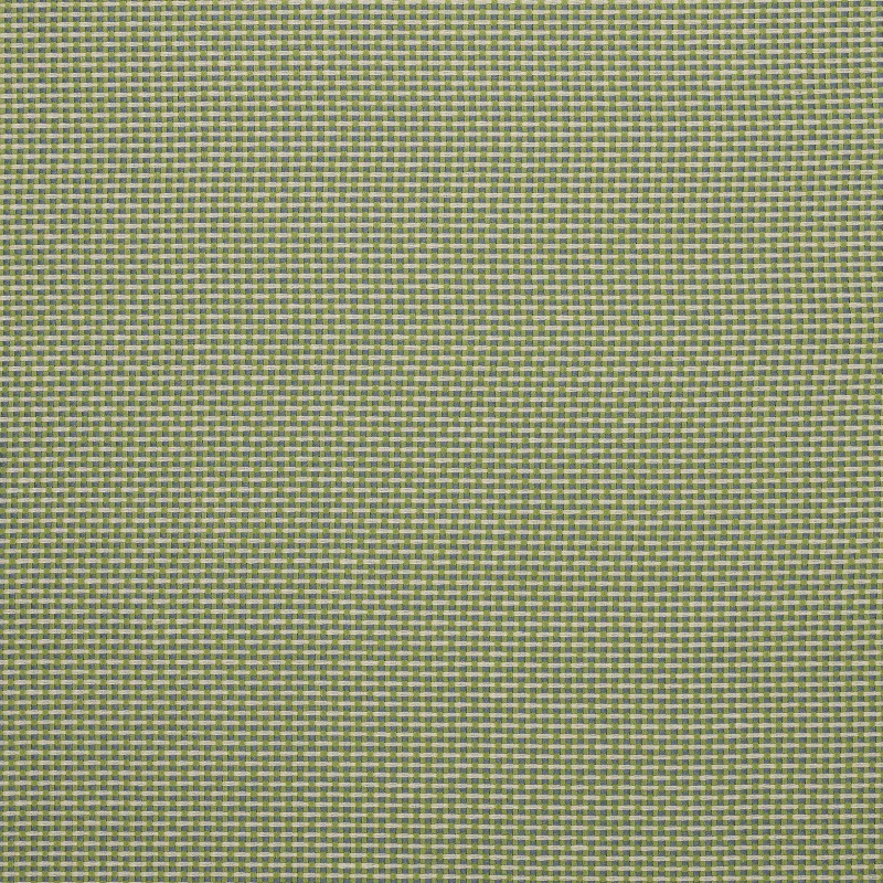 Ткань Pierre Frey fabric F3543016 