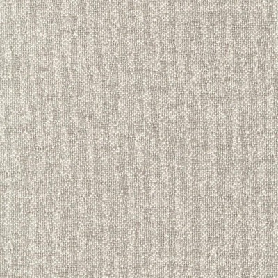 Ткань Rubelli fabric 30319-007 