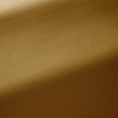 Ткань Pierre Frey fabric F3522016 