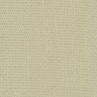 Ткань Rubelli fabric 30076-001 