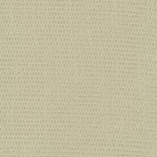 Ткань Rubelli fabric, коллекция FILIGRANA, артикул  30076-001