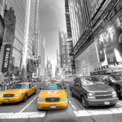 Ткань Rubelli fabric 871056 